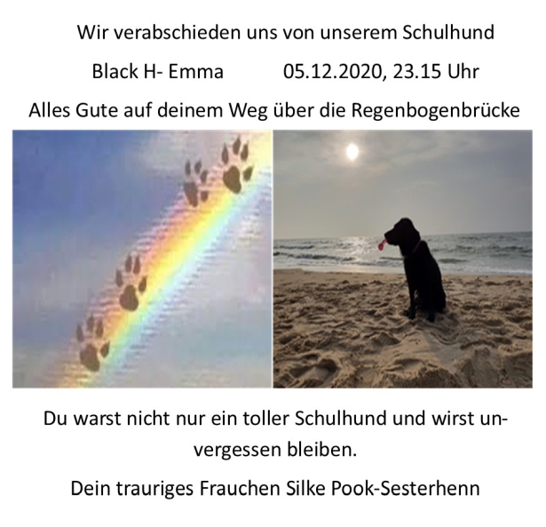 Emma und Charly in freundschaftlicher Konkurrenz Schulhund Emma ist tot.